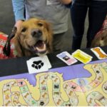 Board Game for Children about Pet Care